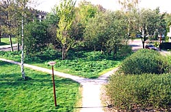 Nieuw gedeelte Kenndylaan tuin Nieuw gedeelte Kenndylaan tuin