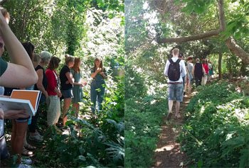 Wildpluk workshop Groene Avonturen in Le Roy tuin Wildpluk workshop Groene Avonturen in Le Roy tuin